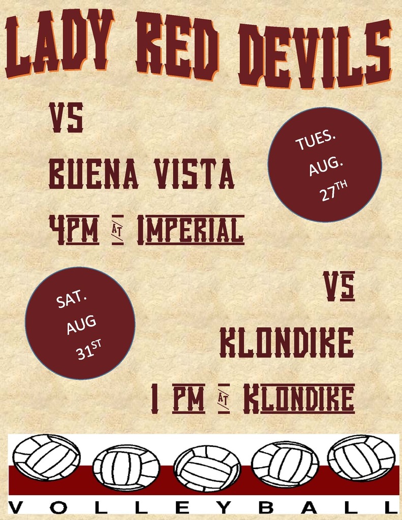 Volleyball Flyer