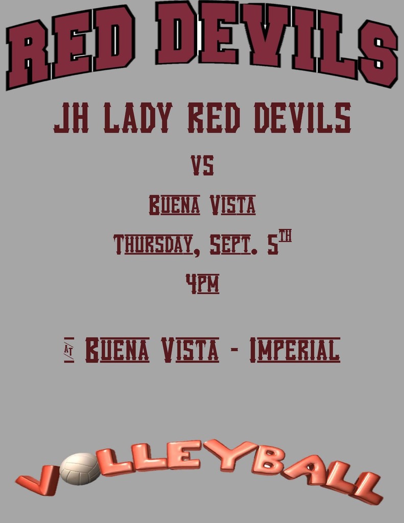 Volleyball Flyer